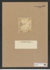 Aulacodiscus umbonatus Grev. (de-Toni-Nr.: Genus 182, Species 4565) Zeichnungen Sammlung Grunow Nr. 8187 (NHMW-BOT-W0377564)